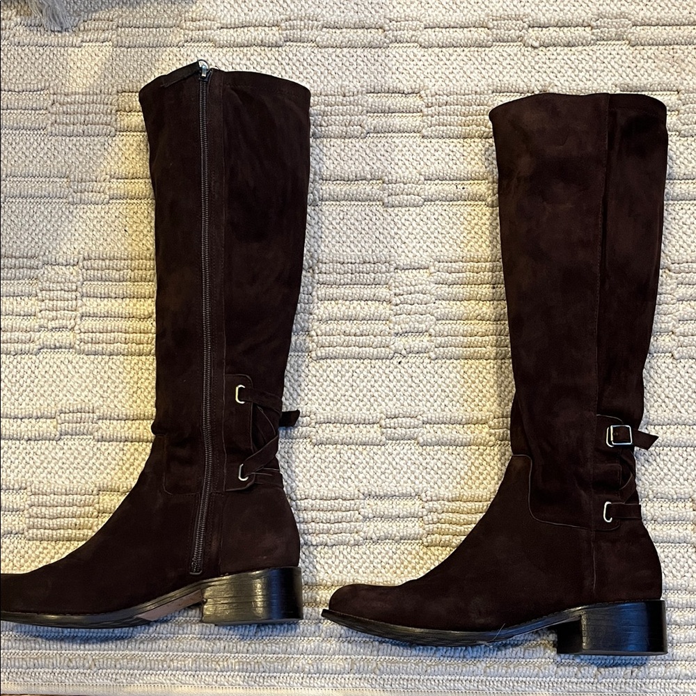 Delman Suede Boots